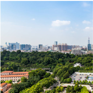 四川崇州2019年GDP_四川崇州城市图片(2)