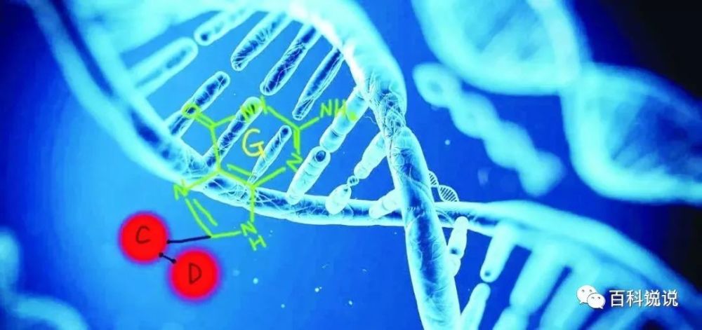 在生物体系中遇到的自由基主要是氧自由基,通称活性氧(ros.