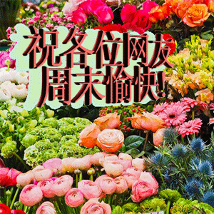 周末又来临,祝福语送到,心情好上好,烦恼留着跑,金钱兜里钻,事业顺杆