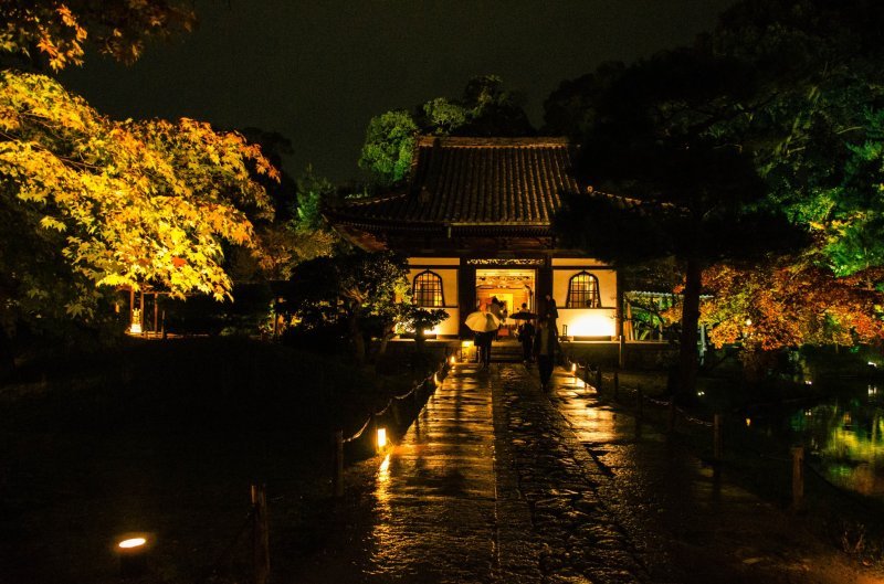 京都高台寺秋季灯光秀京都著名寺院梦幻般的夜景