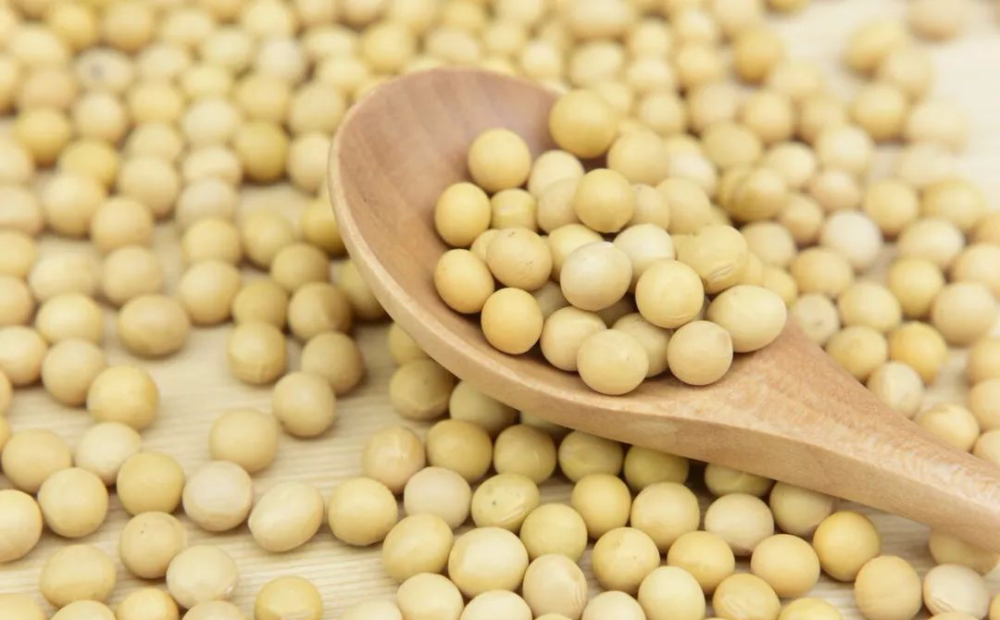 大豆美容的效果原理是什么_大豆是什么豆图片