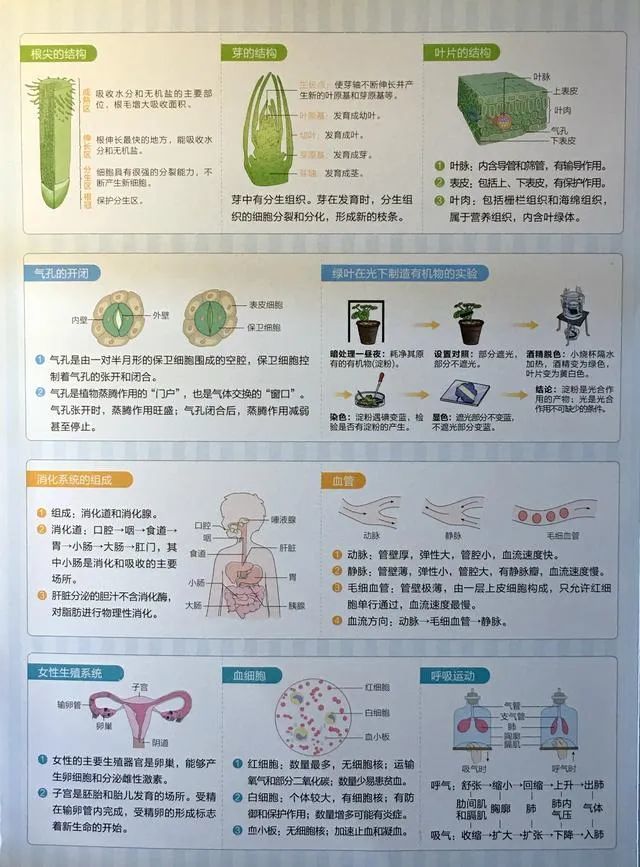 初中生物考前识图速记同学们快收藏