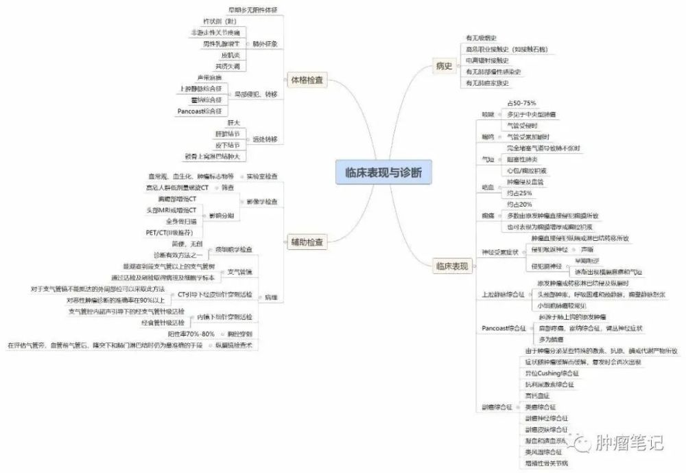 利用思维导图学习肺癌,效率事半功倍