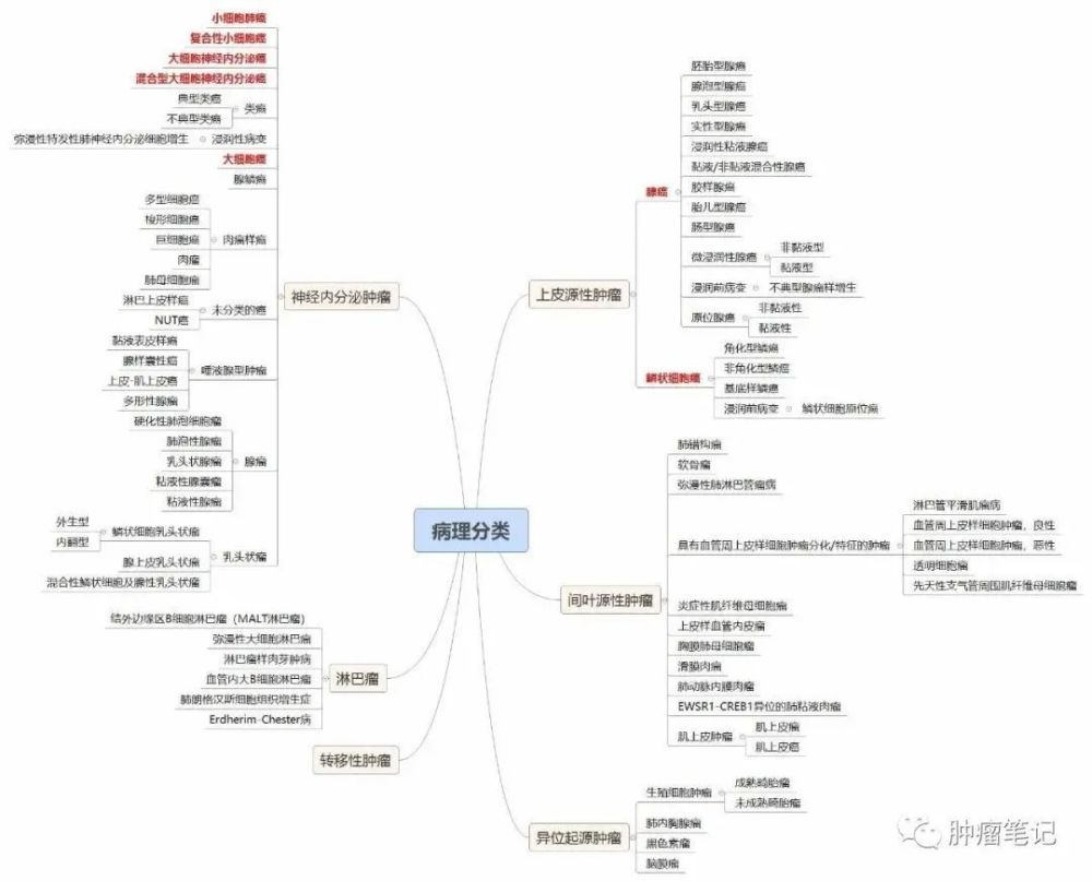 利用思维导图学习肺癌,效率事半功倍