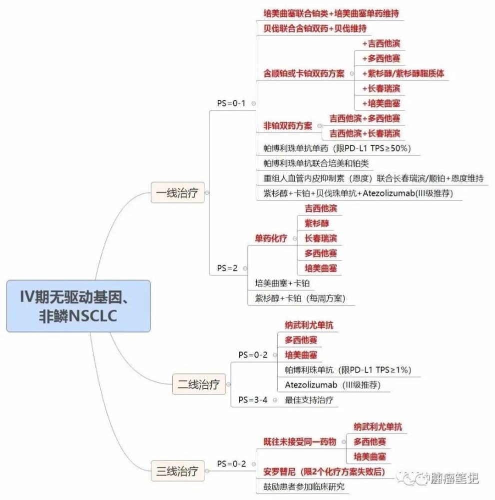 利用思维导图学习肺癌,效率事半功倍