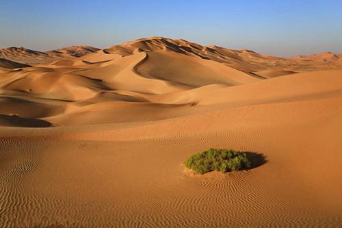 如果地球上所有沙漠变成森林,会对地球有什么影响?
