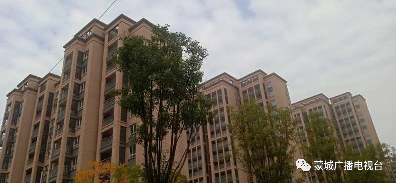 安置房分几套按人口_95519按几是人工服务