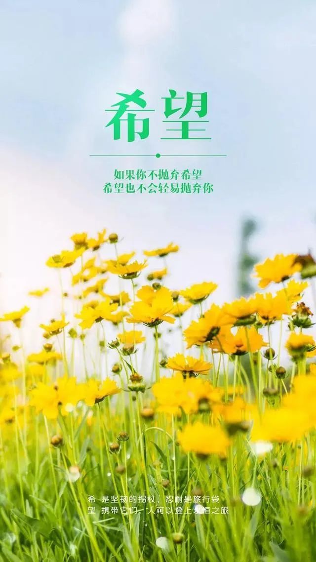 2020十一月朋友圈唯美说说 全新的再见10月你好11月