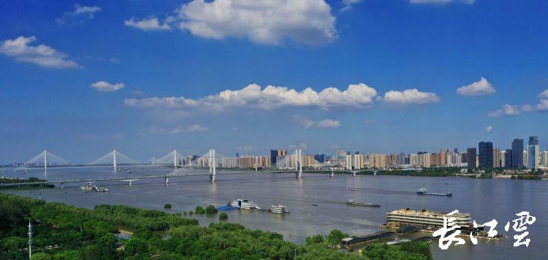 阳逻2019年gdp_2021年春节手抄报(3)