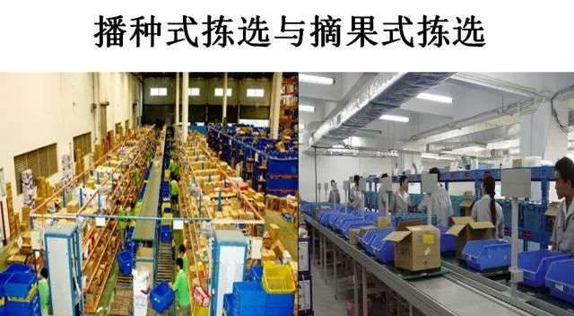 仓库拣货:"播种式"好还是"摘果式"好?
