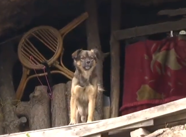 山西小伙在青岛一山洞内隐居8年