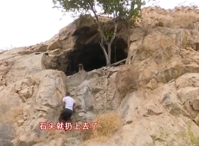 山西小伙在青岛一山洞内隐居8年
