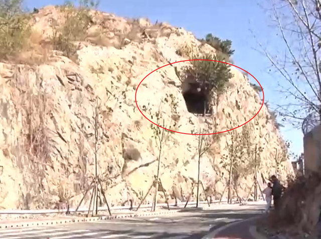 山西小伙在青岛一山洞内隐居8年