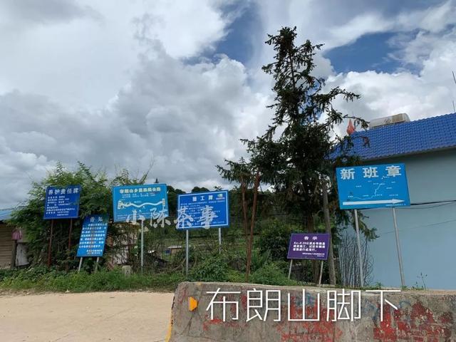 云南茶农人口_云南茶农采茶图