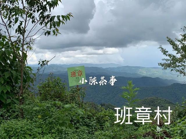 云南茶农人口_云南茶农采茶图