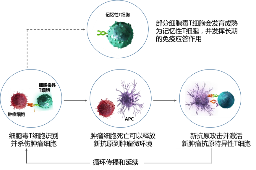 水珠从下往上是什么原理_幸福是什么图片(2)