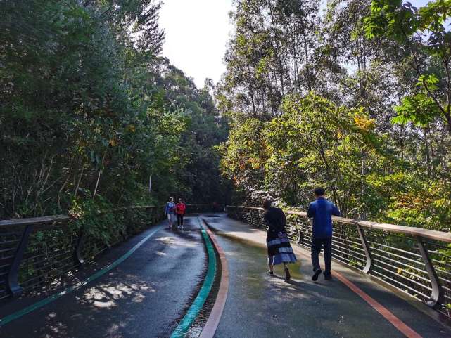 不用爬阶梯就可穿山越岭的郊野公园,福州市区的诗和