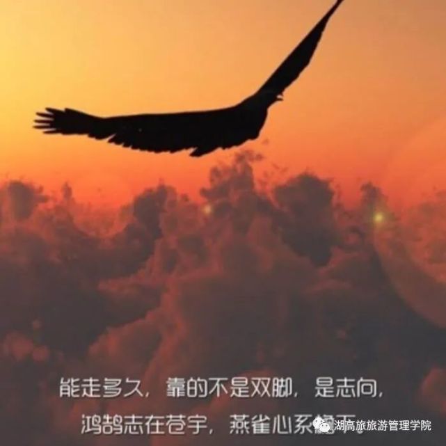 谈大学事,立鸿鹄志