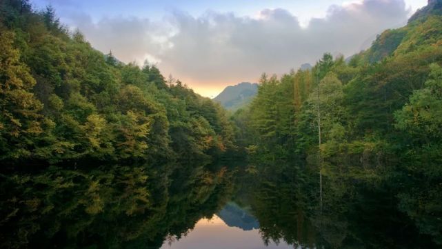 谁说“双十一”要剁手？白云山11块钱的双人特惠门票限量抢！