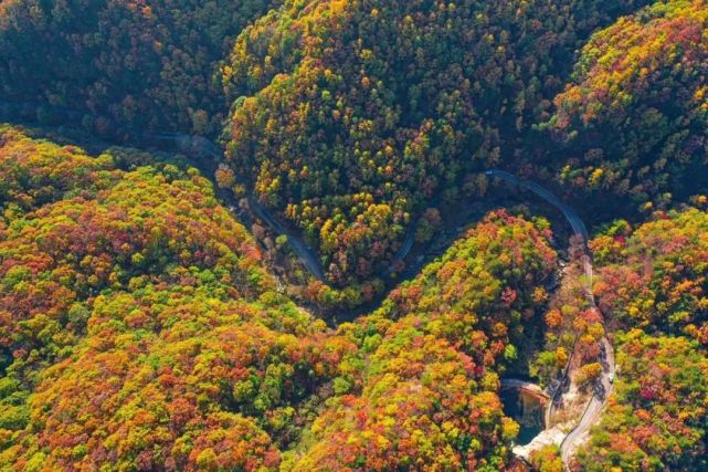 谁说“双十一”要剁手？白云山11块钱的双人特惠门票限量抢！