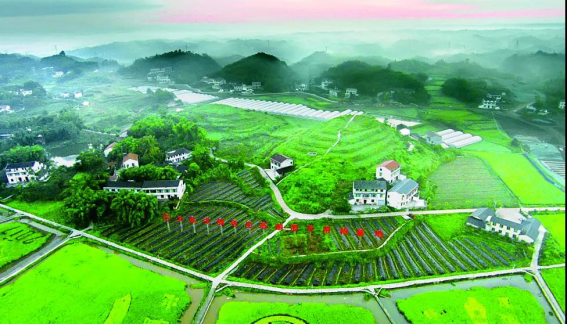 2020年翠屏区gdp_2020-2021跨年图片(3)