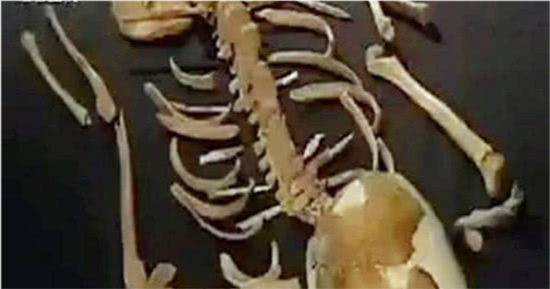 西安挖掘远古墓葬,墓主竟然多出18块骨头,专家:少女死