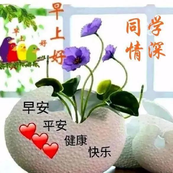 最新创意老同学早安问候语老同学早上好祝福语图片精选