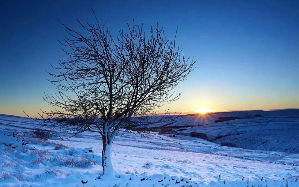 梦见在河边捉泥鳅，探索潜意识中的财富与机遇