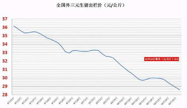 再养人口_人口普查(2)