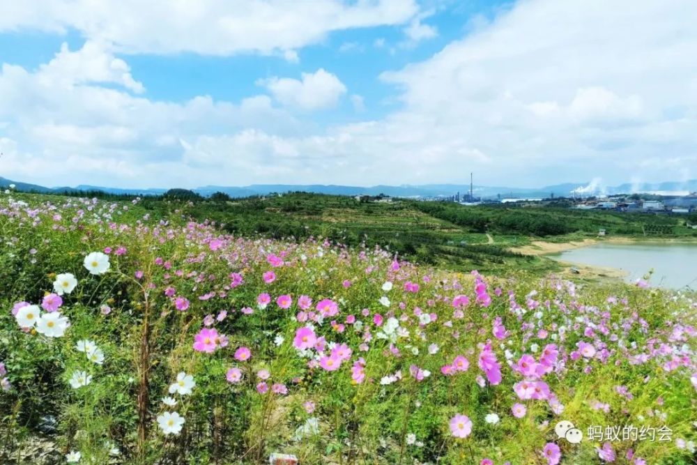 曲靖马龙的云山湖,虽小却有小惊喜