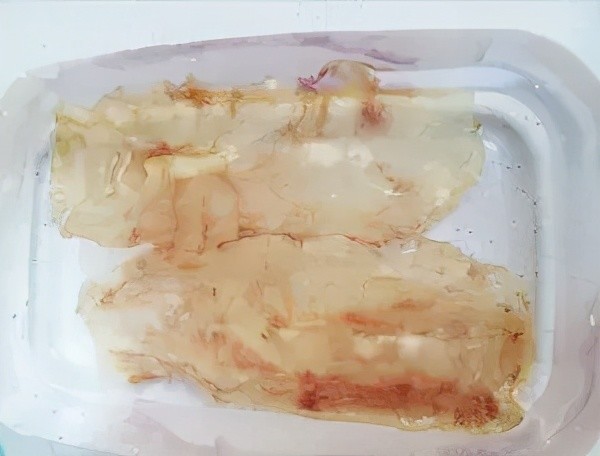 4,泡发两天后花胶涨大一些,发白