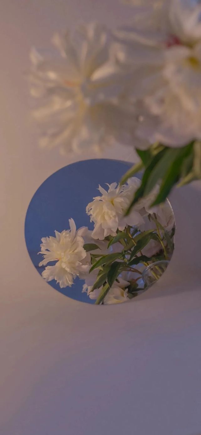 治愈系ins壁纸