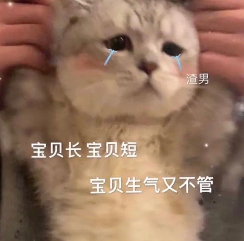 表情包丨宝贝长 宝贝短 宝贝生气又不管!
