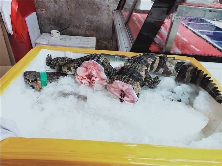 海鲜市场惊现活鳄鱼 市民被吓一跳 商家:人工养殖鳄鱼可食用 且营养