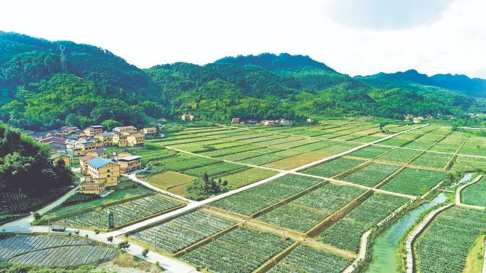 邻水县城北镇金垭村.