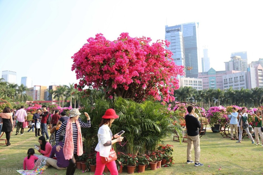 宁波gdp超越大连_宁波大学(3)