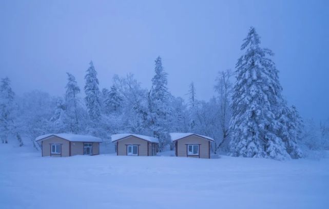 盘点东北最惊艳的7个雪景地,随手一拍都是大片,美得让