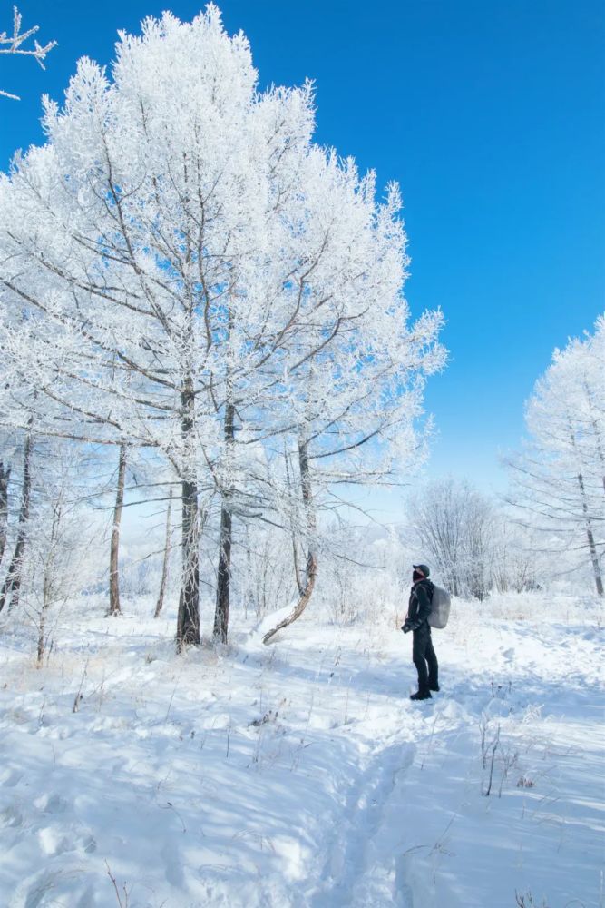 盘点东北最惊艳的7个雪景地随手一拍都是大片美得让你不想走