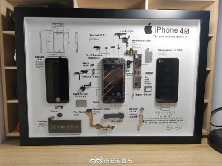 iphone4被制成标本售卖价格800元至1000元要吗