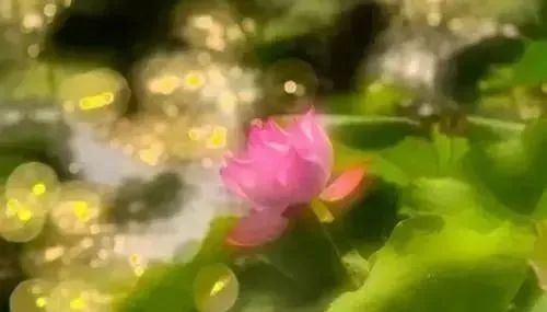 佛说:一切看淡,一切随缘