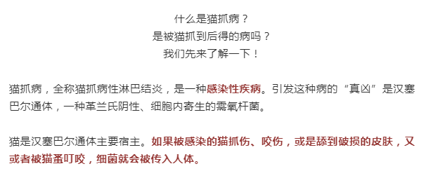 从被猫抓伤到发病,潜伏期一般为3~10