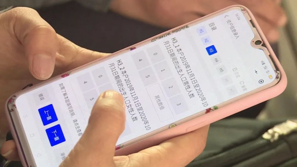 人口普查正式登记讲话_普查人口登记表格图片(3)