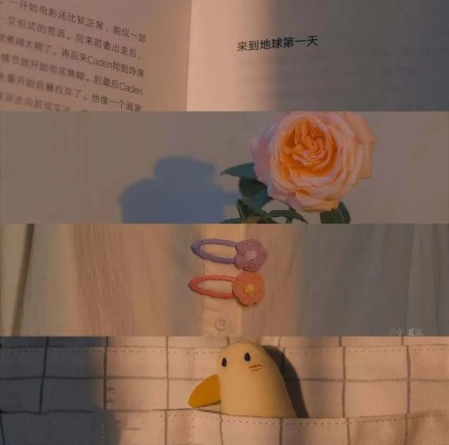 背景图【精选】各自努力 顶峰相见