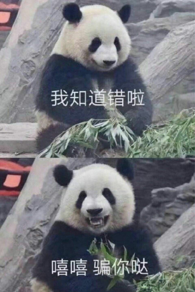 一本正经的沙雕文案