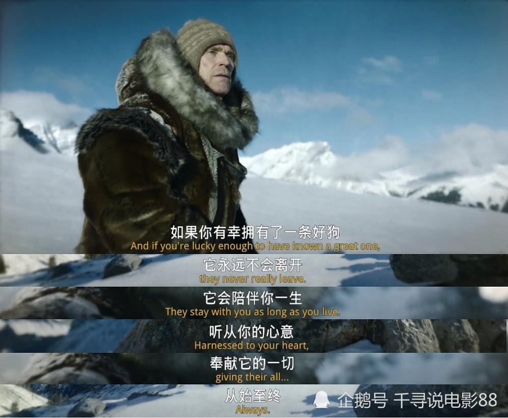 总人口多哥_多哥电影