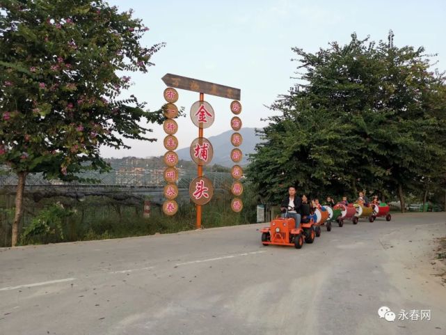 在永春县五里街镇金埔头文旅基地内的裕嘉芦柑园里一颗颗芦柑挂满枝头