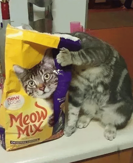 鸡飞机狗船帆猜成语_看图猜成语船(2)