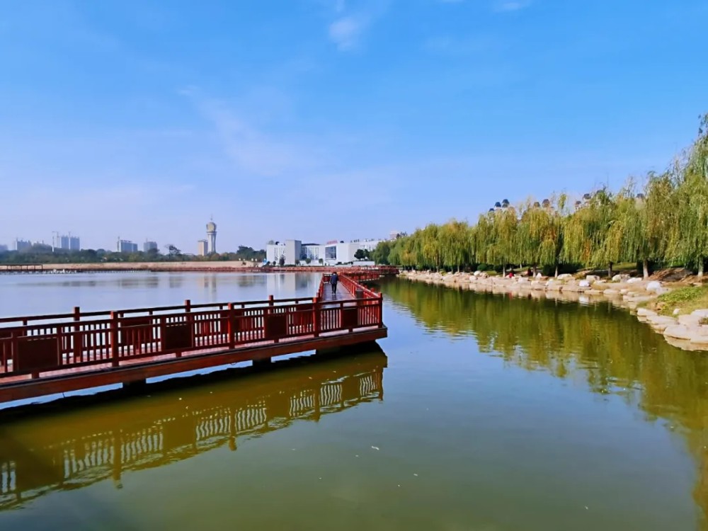 柘城县容湖景区:一湖碧水千树染秋万种姿态