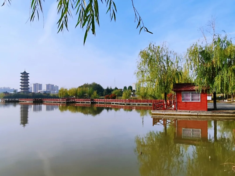 柘城县容湖景区:一湖碧水千树染秋万种姿态