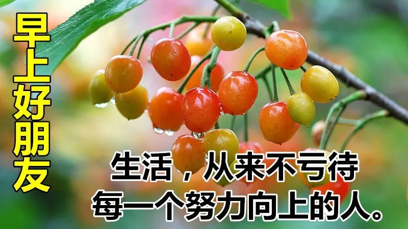 11月2日最漂亮早上好动态表情图片大全,早晨好动图美图大全